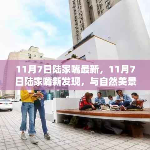 11月7日陆家嘴新发现,自然美景中的内心宁静之旅