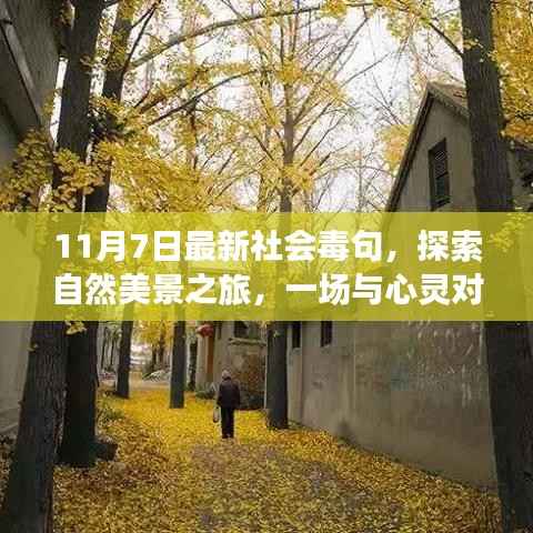 11月7日社会毒句与心灵对话的自然美景探索之旅