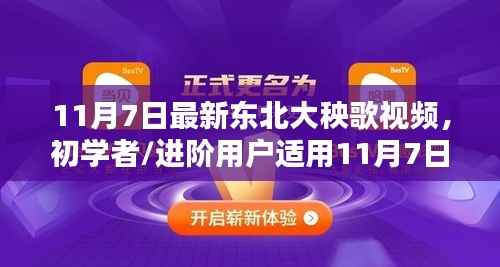 东北大秧歌视频学习全攻略,初学者与进阶用户适用,最新视频学习指南(11月7日更新)