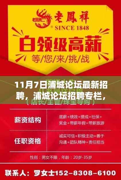 浦城论坛最新招聘更新,探寻职场新机遇(11月7日版)