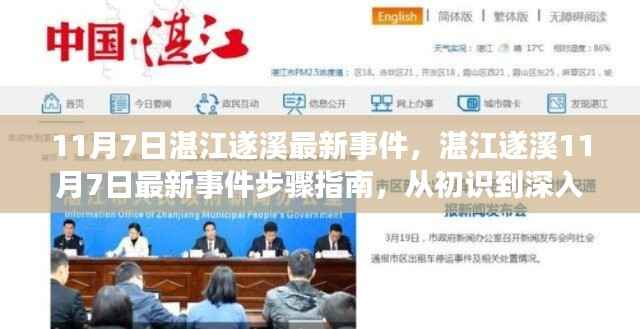 湛江遂溪11月7日事件全解析,初识到深入了解的步骤指南