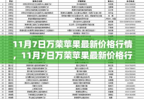 11月7日万荣苹果价格行情及市场观察分析