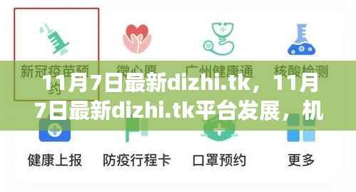 11月7日最新dizhi.tk平台,机遇与挑战并存的发展之路