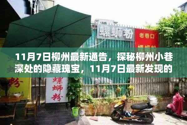探秘柳州小巷深处的隐藏瑰宝,最新发现特色小店(11月7日柳州最新通告)