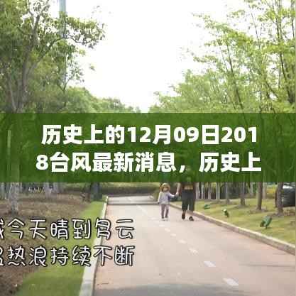 历史上的12月09日2018台风最新消息,历史上的12月09日,台风背后的美景探索之旅,启程寻找内心的宁静与平和