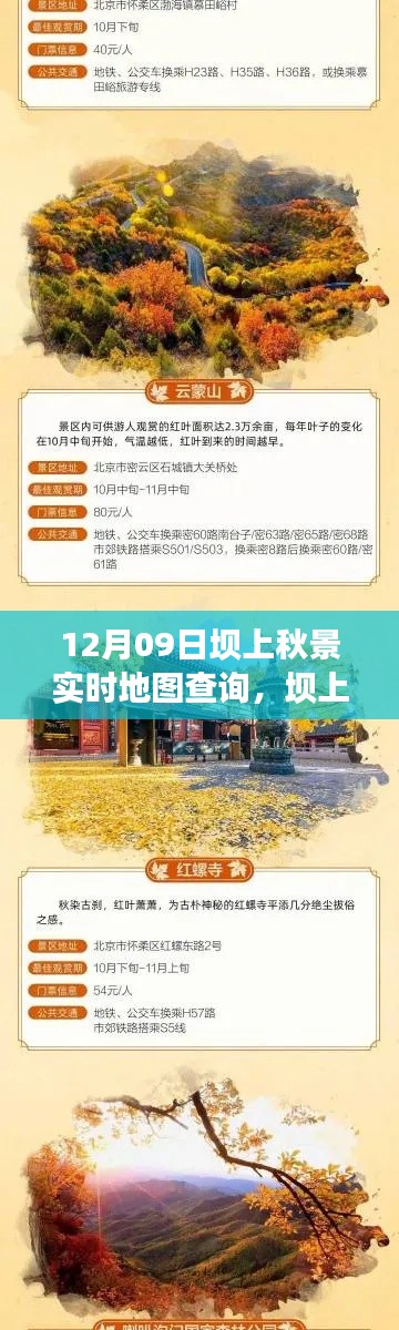 坝上秋景实时地图查询之旅,自信与成长的励志之旅