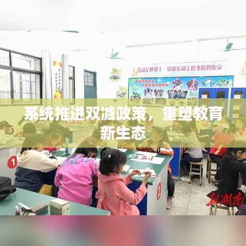 系统推进双减政策,重塑教育新生态