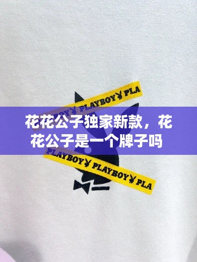 花花公子独家新款,花花公子是一个牌子吗