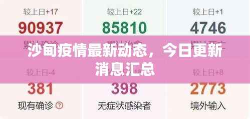 沙甸疫情最新动态，今日更新消息汇总