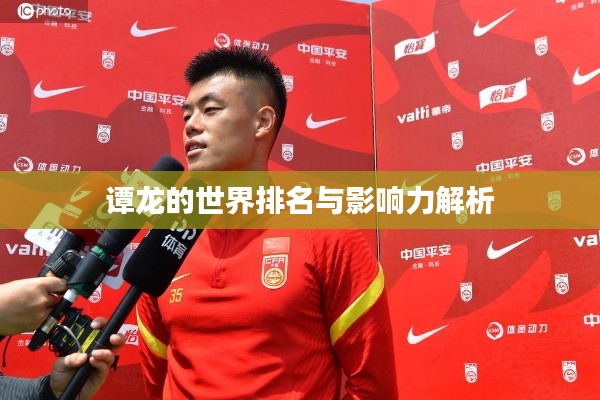 谭龙的世界排名与影响力解析