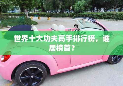 世界十大功夫高手排行榜，谁居榜首？