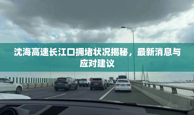 沈海高速长江口拥堵状况揭秘,最新消息与应对建议