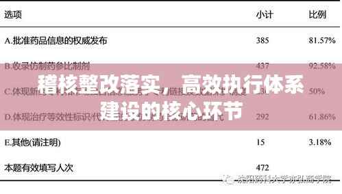 稽核整改落实，高效执行体系建设的核心环节