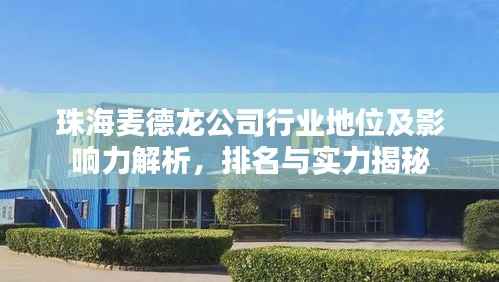 珠海麦德龙公司行业地位及影响力解析，排名与实力揭秘
